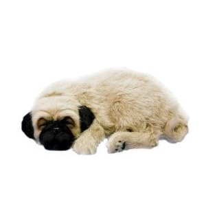 Perfect Petzzz Pug by