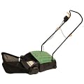 Gardenline Electric Lawn Rake