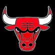 Chicago Bulls Large Trailer Hitch Cover - NBA Basketball Fan Shop Sports Team Merchandise