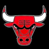 Chicago Bulls Large Trailer Hitch Cover - NBA Basketball Fan Shop Sports Team Merchandise