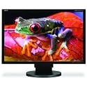 NEC MultiSync EA221WM-BK 22 inch 1680X1050 DVI 5MS SPK USB Wide LCD Black Monitor