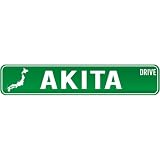 New  Akita Drive - Sign / Signs  Japan Street Sign City
