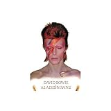 (24x36) David Bowie (Aladdin Sane) Music Poster Print