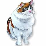 Clearly Charming Ragdoll Sterling Silver and Enamel Pin
