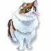   - Clearly Charming Ragdoll Sterling Silver and Enamel Pin