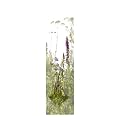 Horn textiles Limbo 93 Fl�chenvorhang digital bedruckt (Breite: 60 cm, H�he: 260 cm)