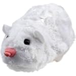 Zhu Zhu