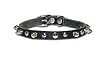 Omni Pet No.38LKS 3/8in Spiked Latigo Leather Collar 12in Black