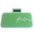 Loutoff Digitale Pr�zisions Personenwaage Waage 180KG/0.1Kg WA-660RU