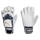 Puma v-Kat RC Goalkeeper Glove