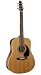 Seagull Coastline S6 Cedar GT QI Guitar