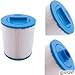 Filbur FC-0420 Antimicrobial Replacement Filter Cartridge for Coleman 100520 Pool and Spa Filter