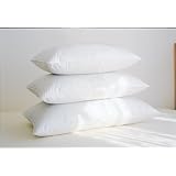 Fine White Goose Down Extra-Fill Pillows White Standard by Warm Things