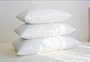 700 Extra-Fill White Down Pillows White King