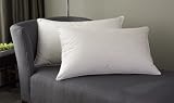 Westin Heavenly® Feather & Down Pillow - Queen