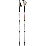 Black Diamond Trail Ergo Cork Trekking Pole