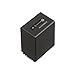 Sony NP-FV100 LITHIUM-Akku (V-Serie)
