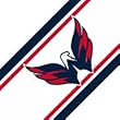 NHL Washington Capitals - Boys Hockey Decor Wallpaper Border Roll