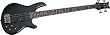 Schecter Raiden Custom-4 - Black