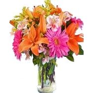Beautiful Blooming Bouquet from Florist