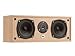 JBL ATX 10C 2-Wege-Center-Lautsprecher buche