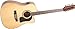 Washburn D10 Series D10SCE12K Acoustic-Electric Guitar