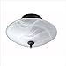 World Imports Iron Works 3 Light Semi Flush Mount Fixture