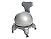 All Products : Balance Ball Chair + Free Exercise Manual