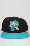 Vintage Deadstock Portland Sea Dogs Snapback Hat,Hats for Unisex