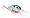 Pumpkinseed