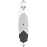Bic ACS Stand Up Paddleboard 2011