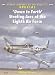 Aircraft of the Aces Down to Earth Strafing Aces of the 8th Air Force Osprey Books