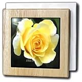 Pale Yellow Rose - 6 Inch Tile Napkin Holder