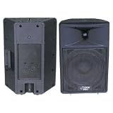 PYLE PPHP1290 800 Watt 12-Inch Two Way Plastic Molded Loudspeaker