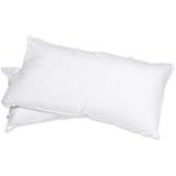 All Season Down Alternative King Pillow Set, White (Set of 2)