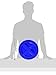 Gamma Seal Lid - Blue