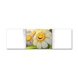 42 x 14 Wall Vinyl Sticker Smiley Face on Daisy