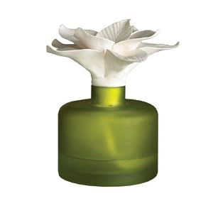 Blissliving Home Garden Party Ceramic Flower Diffuser, Kaffir Lilly Scent, Green, 4 by 5...