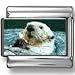 Sea Otter Photo Italian Charm