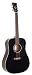Recording King Classic Series I Dreadnought Acoustic Guitar, Mahogany Back & Sides, Black Finish