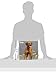 Vizsla Calendar - Only Dog Breed Vizsla Calendar - 2016 Wall calendars - Dog Calendars - Monthly Wall Calendar by Avonside