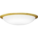 DAIKO ����d�@ �V�[�����O���C�g DX-85686