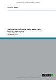 Juristische Probleme beim Kauf eines Gebrauchtwagens (German Edition)