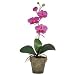 Phalaenopsis Silk Orchid Flower Arrangement
