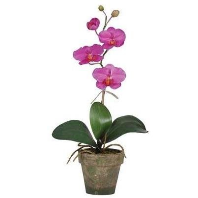 Potted Phalaenopsis Silk Orchid Arrangement