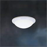 Flush 2 Lt Fluorescent with White finish