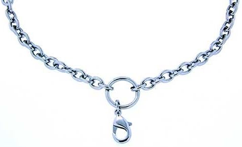 Clearly Charming Necklace for Detachable Floating Charm Lockets