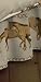 Horses on the Border Twin Bedskirt