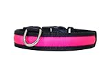 LED Halsband
