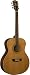Washburn WD10 Series WMJ11S Acoustic Guitar